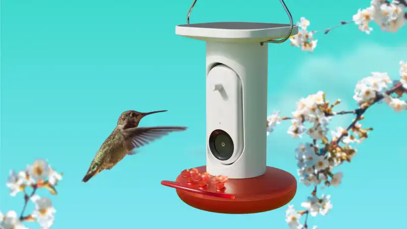 Watch more of your feathered friends with Bird Buddy's new Smart Hummingbird Feeder!