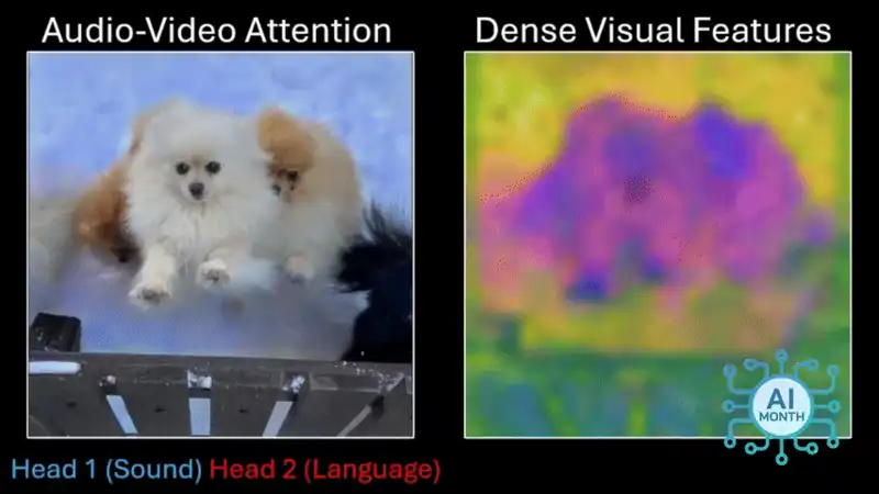 This AI model is learning to watch videos and talk — how do you do it here