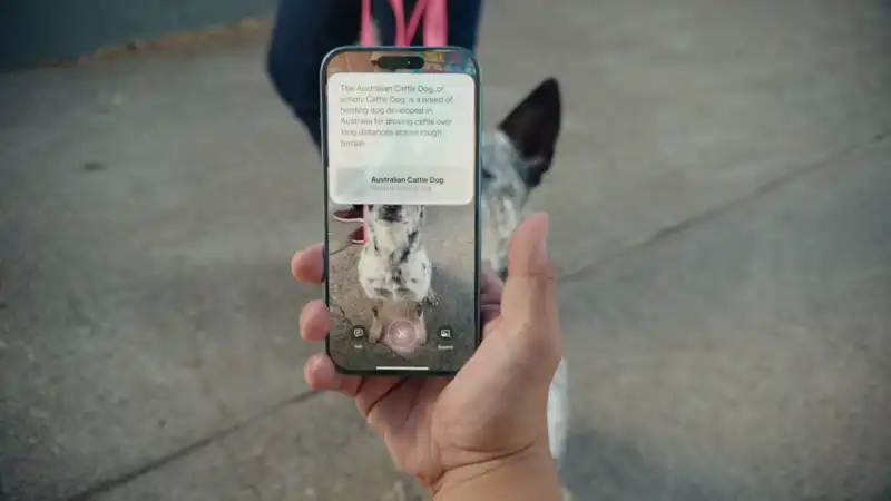 Apple Unveils Visual Intelligence - Its Take on Google Lens