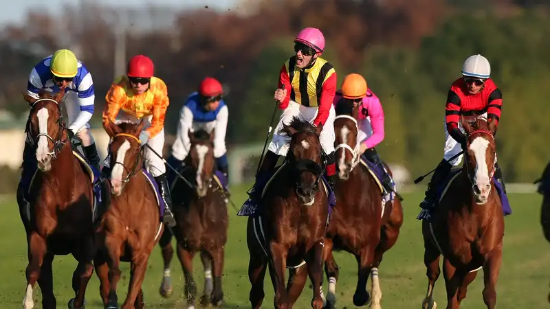 How to watch Japan Cup 2024: live horse racing from anywhere, runners and jockeys, start time