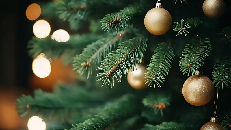 Christmas Tree Needles Should Not Be Vacuumed, Experts Warn - Use This $3 Tool Instead!