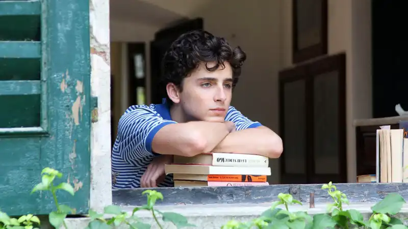 Timothée Chalamet's Oscar-nominated breakout film will be distributed by Netflix next week.